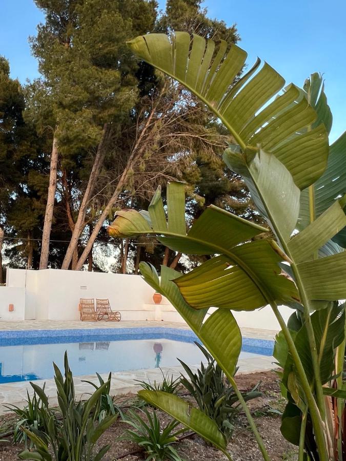 Boutique B&B Casa 381 - Adults Only Jávea Zewnętrze zdjęcie